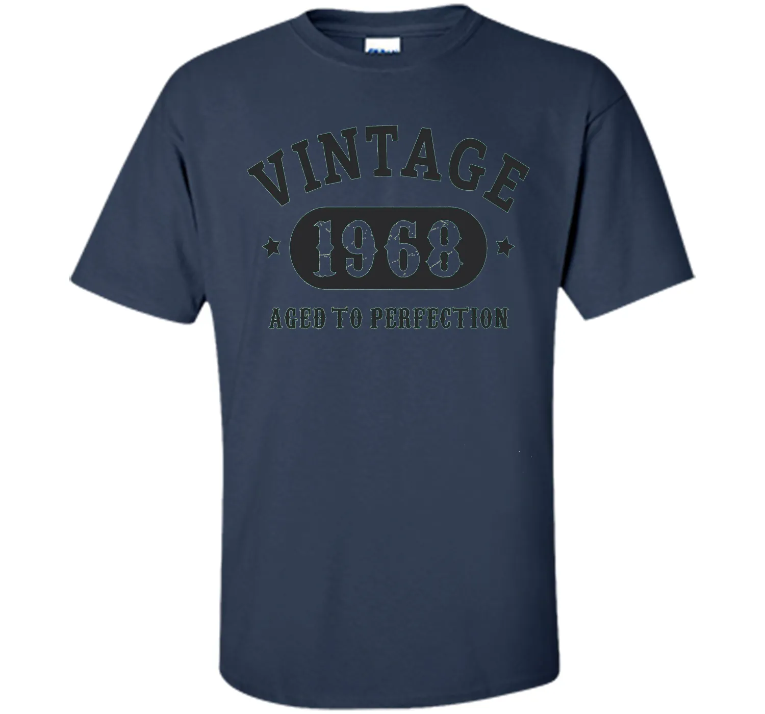 69 years old 69th Birthday B-day Gift 1948 T-Shirt