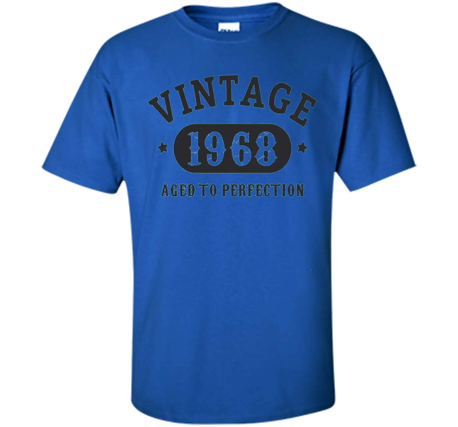 69 years old 69th Birthday B-day Gift 1948 T-Shirt