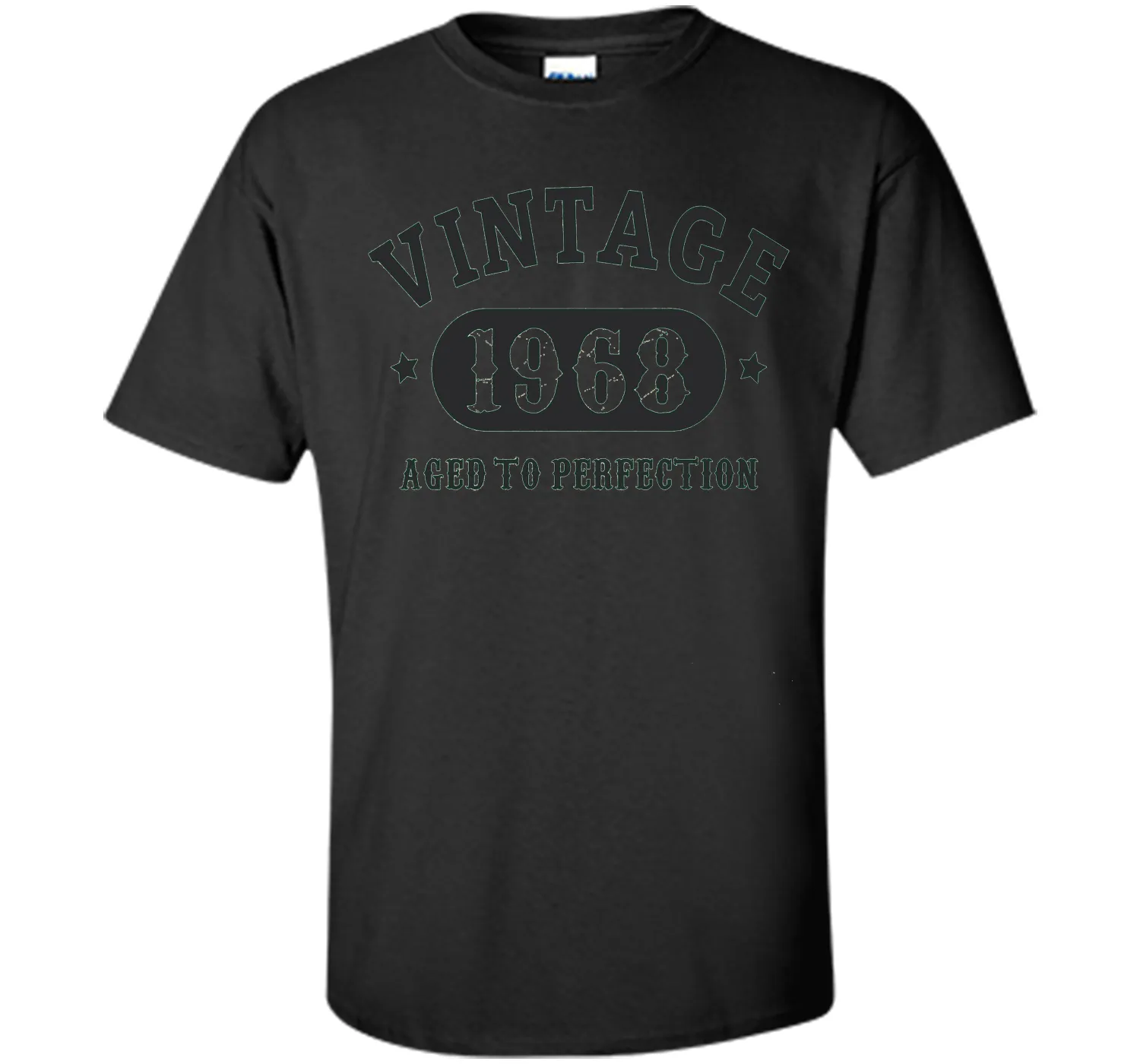 69 years old 69th Birthday B-day Gift 1948 T-Shirt