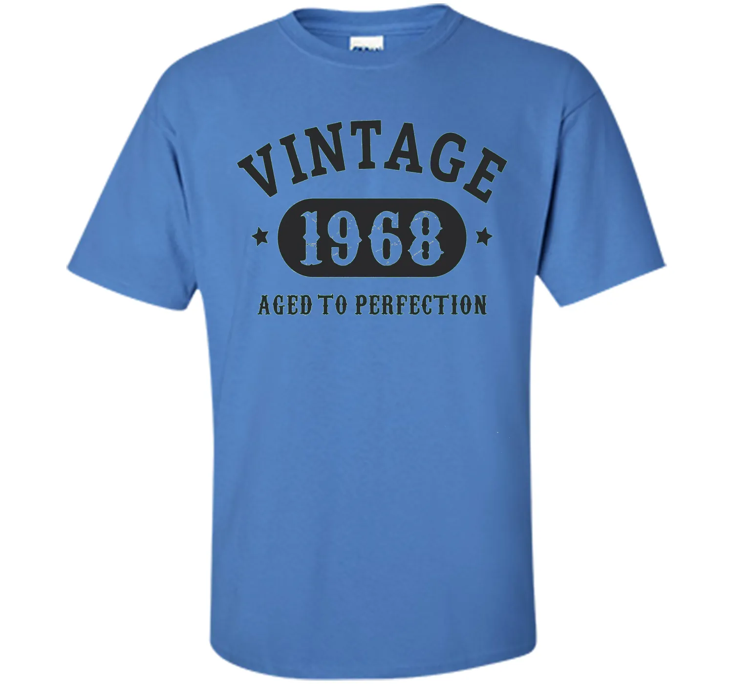 69 years old 69th Birthday B-day Gift 1948 T-Shirt