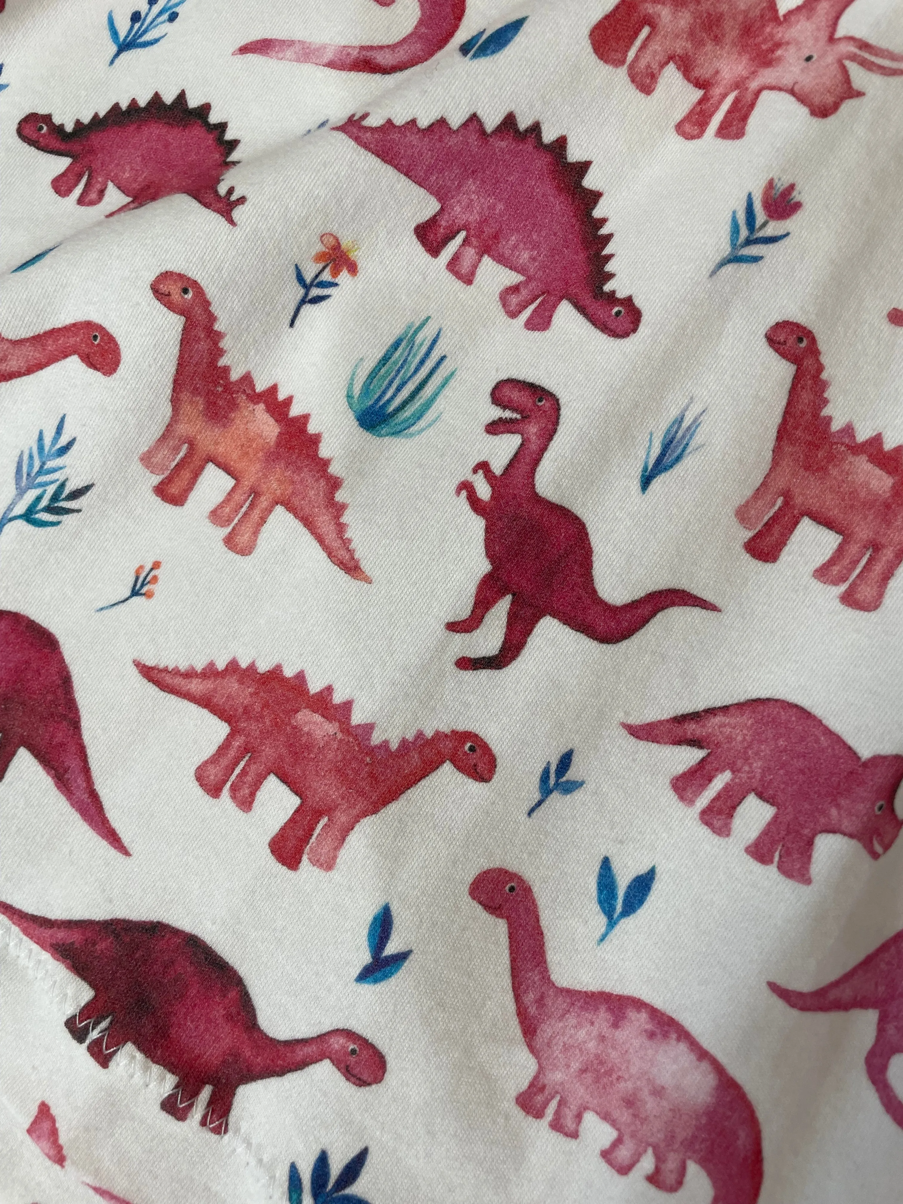 Dinosaur Sleveless Adeline Twirl Dress