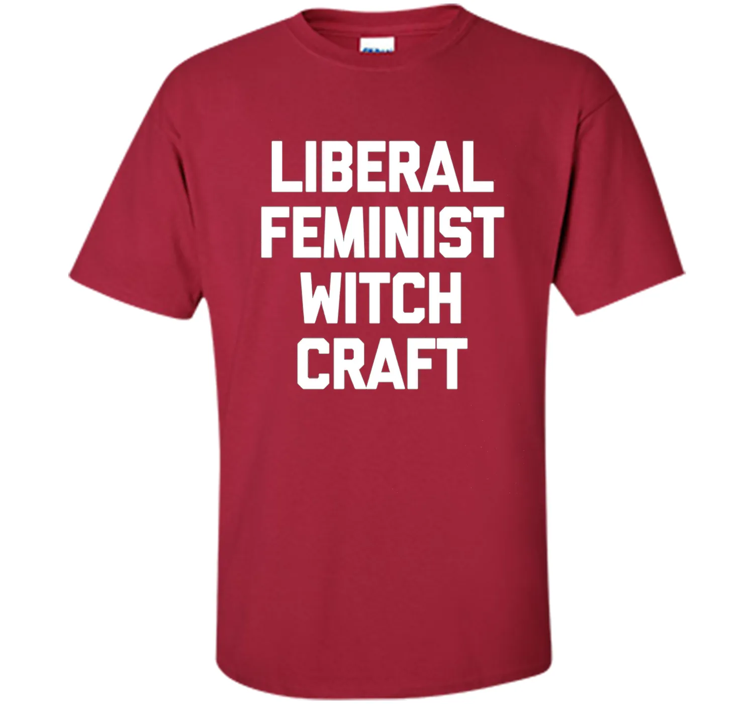 Liberal Feminist Witchcraft T-Shirt funny saying sarcastic